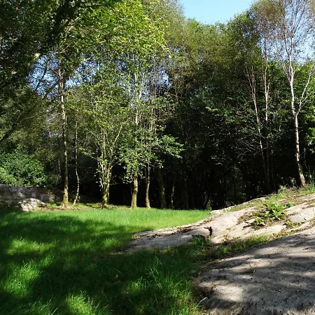 Ferienhaus The River House *