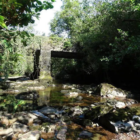 The River House