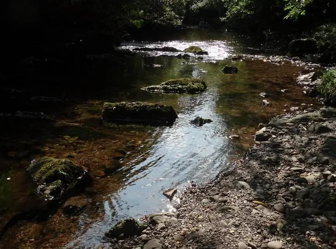 The River House * Releagh