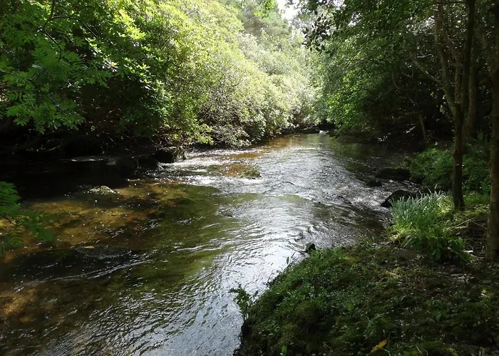 The River House Ferienhaus